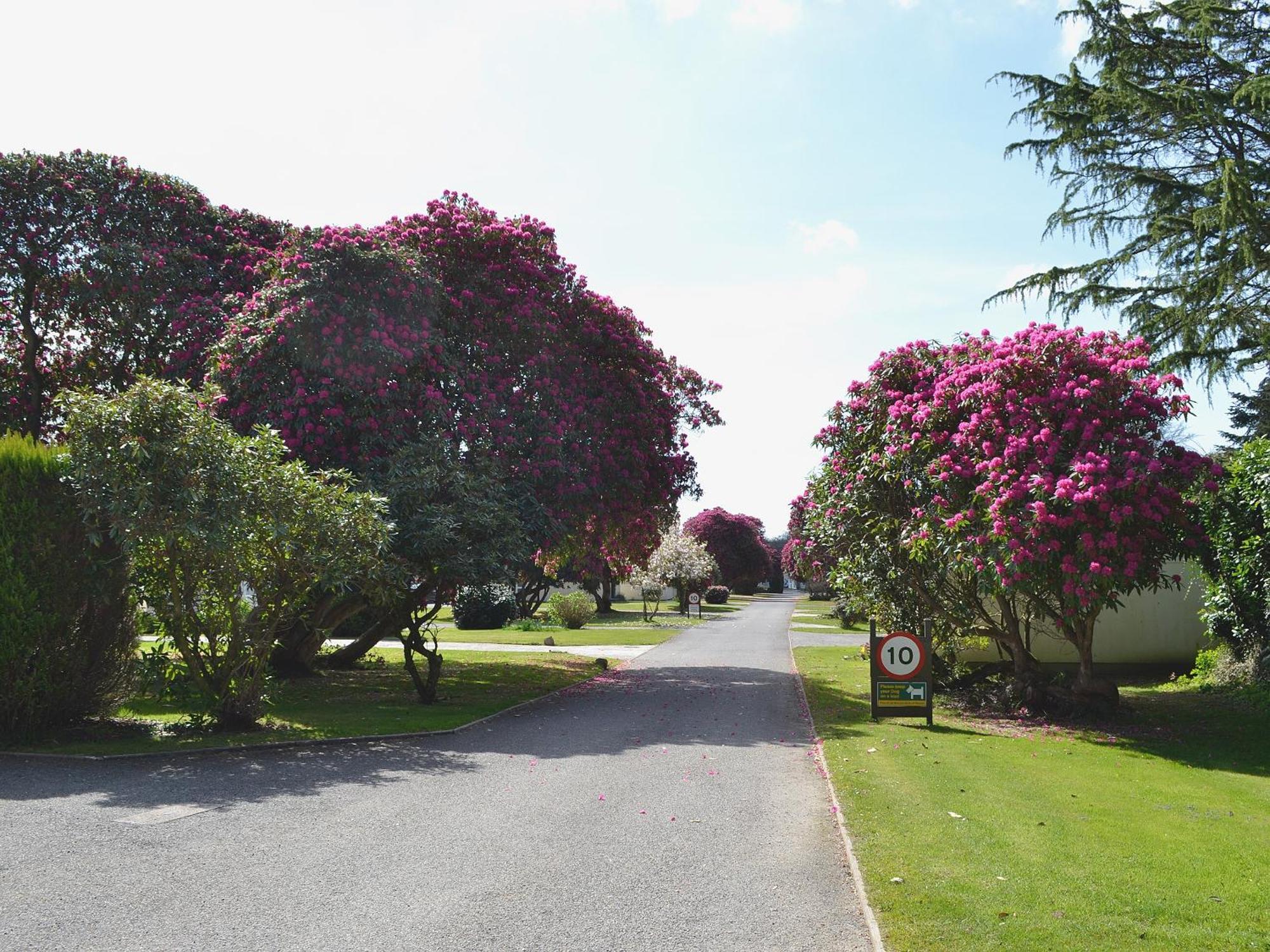 Tresco - B6520 Villa Saint Cleer ภายนอก รูปภาพ